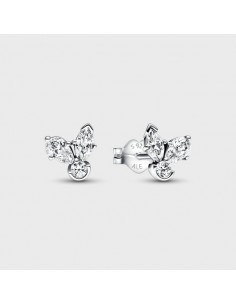 Pendientes Pandora Herbario...