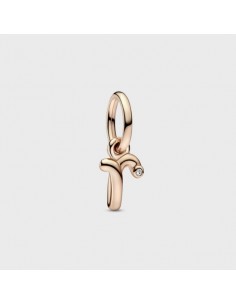Charm Pandora Colgante...