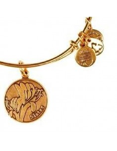 Pulsera Alex And Ani Sister...