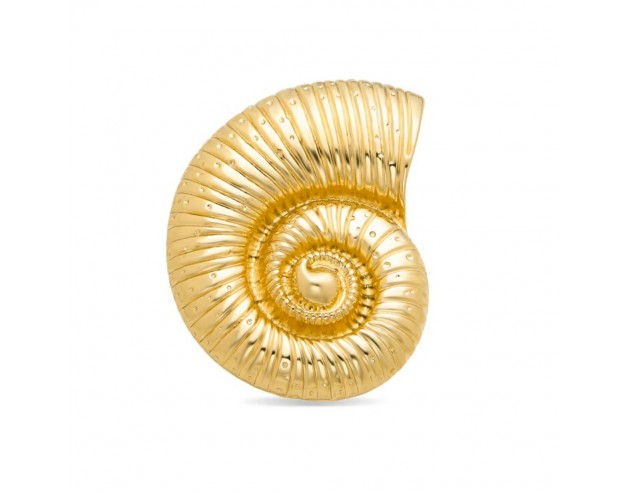 Broche Luxenter Caracola Chapada...