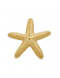 Broche Luxenter Star...