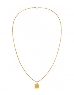 Collar Dorado Tommy...