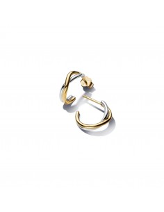 Pendientes Pandora Essence...
