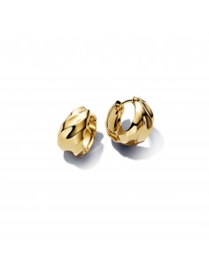 Pendientes Pandora Essence...