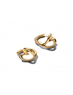 Pendientes Pandora Aro... 2
