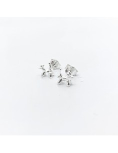 Pendientes Plata Motivo...