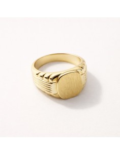 Sello Oro Bicolor Brazo...
