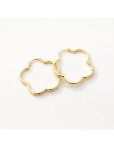 Pendientes Plata Dorada Aro...
