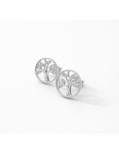 Pendientes Plata Motivo...