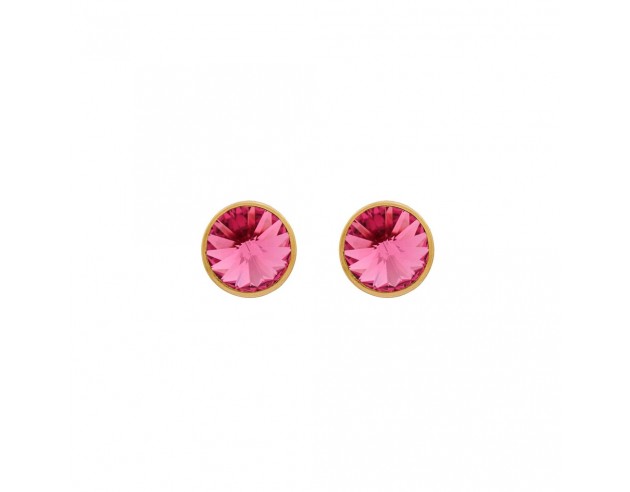 Pendientes Victoria Cruz Plata Boton...
