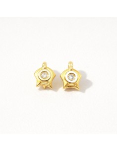 Pendientes Oro Bicolor...