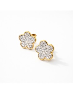 Pendientes Oro Bicolor...