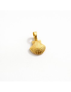 Colgante Oro Concha