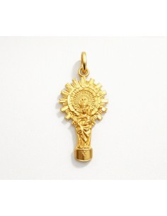 Medalla Oro Silueta Virgen...